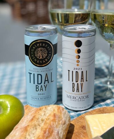 Mercator and Gaspereau Tidal Bays with apple, bread and cheese picnic